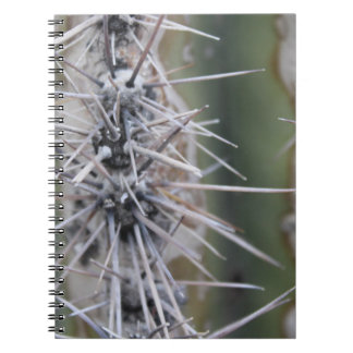 Cuaderno de los cactus