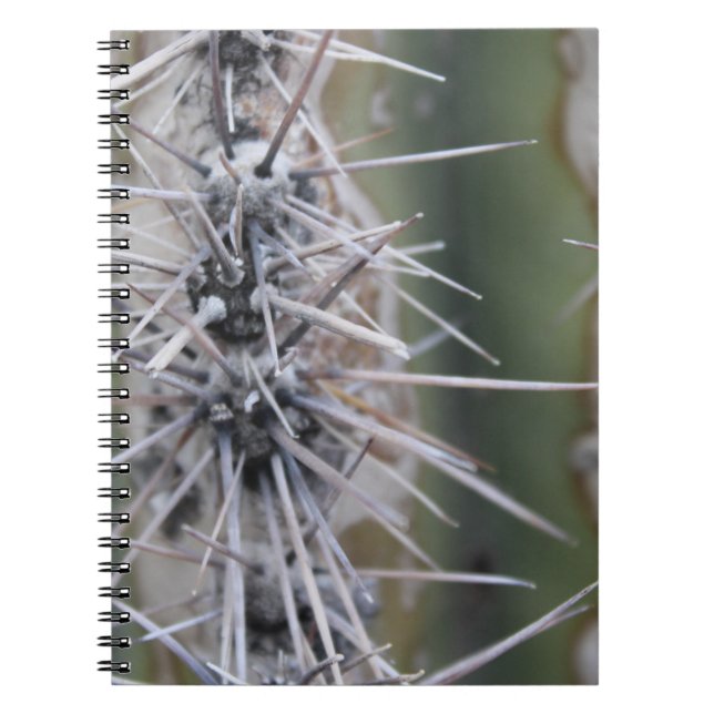 Cuaderno de los cactus (Frente)