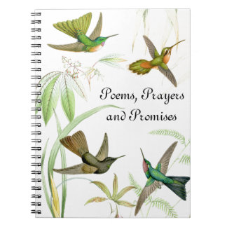 Cuaderno de los colibríes de Goulds