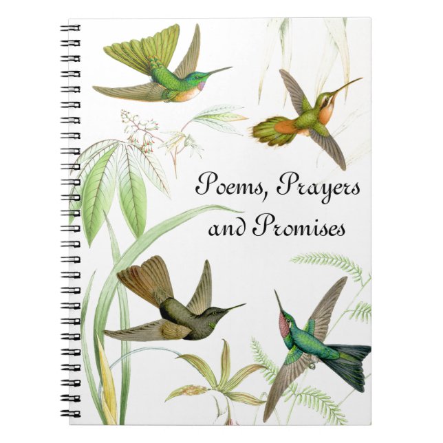 Cuaderno de los colibríes de Goulds (Frente)