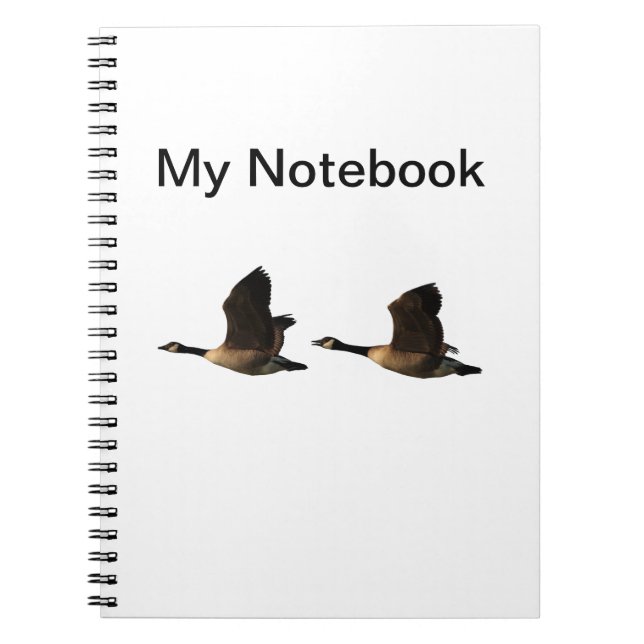 Cuaderno de los gansos del vuelo (Frente)