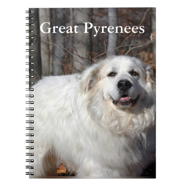 Cuaderno de los grandes Pirineos (Frente)