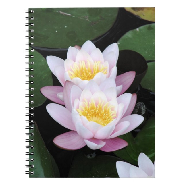 Cuaderno de los lirios de agua (Frente)