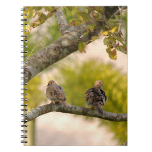 Cuaderno de los pájaros de las palomas de luto