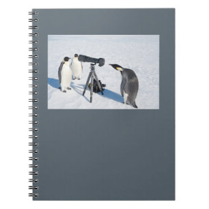 Cuaderno de los paparazzis del pingüino