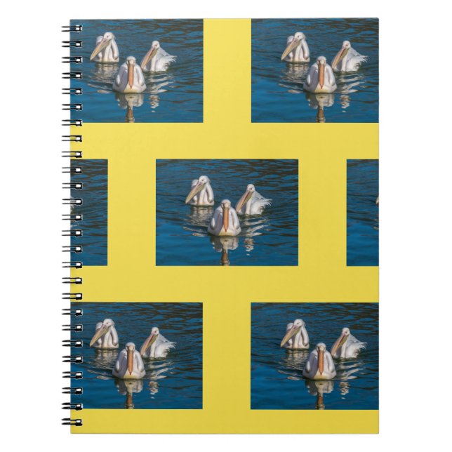 Cuaderno de los pelícanos (Frente)