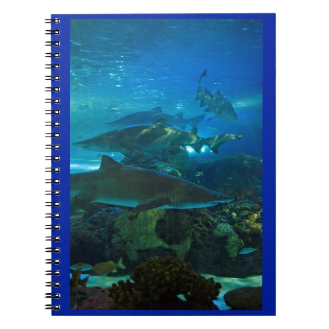 Cuaderno de los pescados del acuario del tanque (Frente)