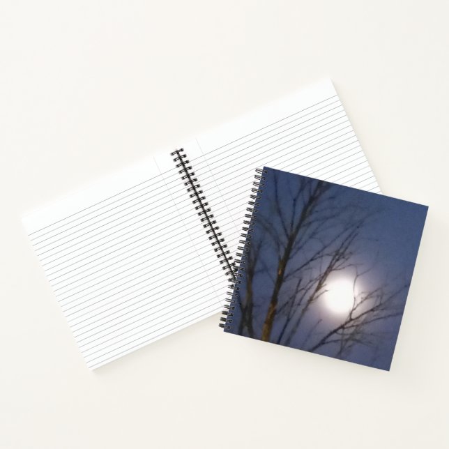 Cuaderno de luz de luna matutina (Interior)