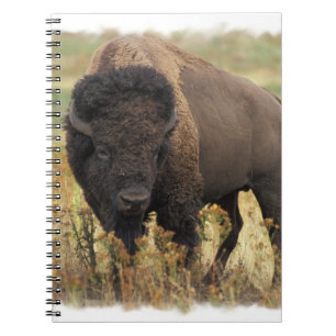 Cuaderno de madera del bisonte