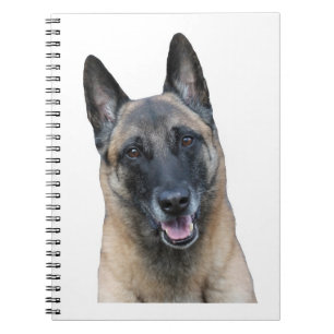 Cuaderno de Malinois del belga