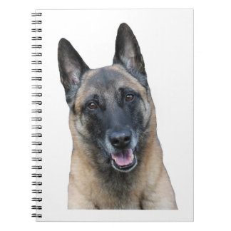Cuaderno de Malinois del belga