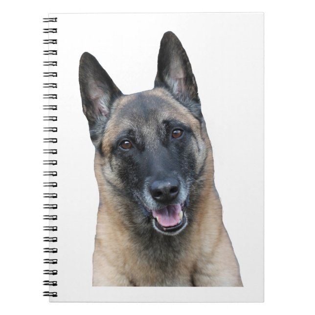 Cuaderno de Malinois del belga (Frente)