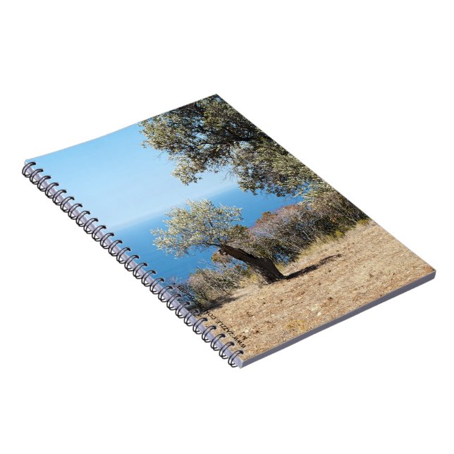 Cuaderno de Mallorca (Lado Derecho)