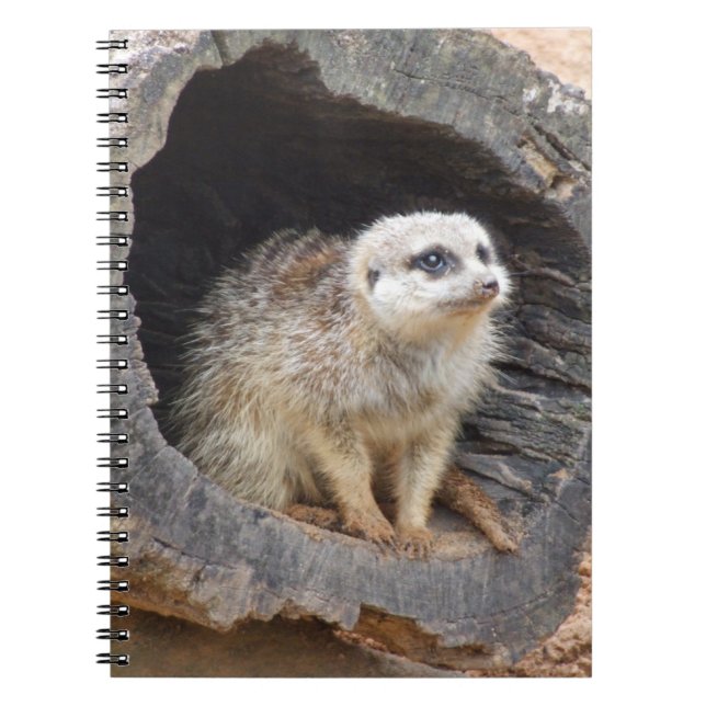 Cuaderno de Meerkat (Frente)