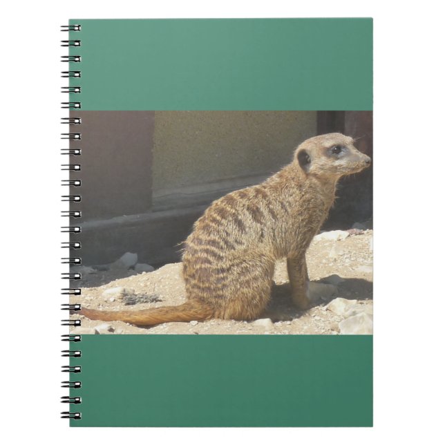 Cuaderno de Meerkat (Frente)