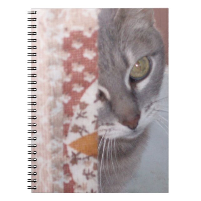 Cuaderno de Meow Cats 13 (Frente)