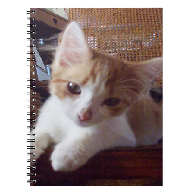 Cuaderno de Meow Cats 22 (Frente)