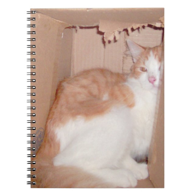Cuaderno de Meow Cats 31 (Frente)