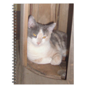 Cuaderno de Meow Cats 33