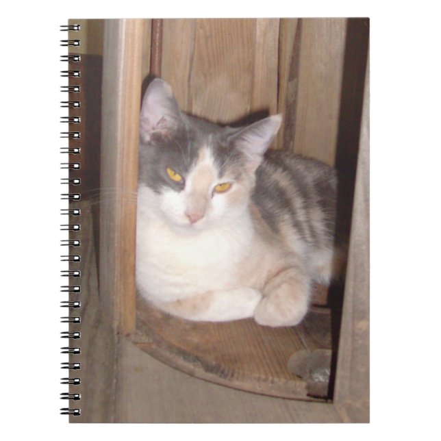 Cuaderno de Meow Cats 33 (Frente)