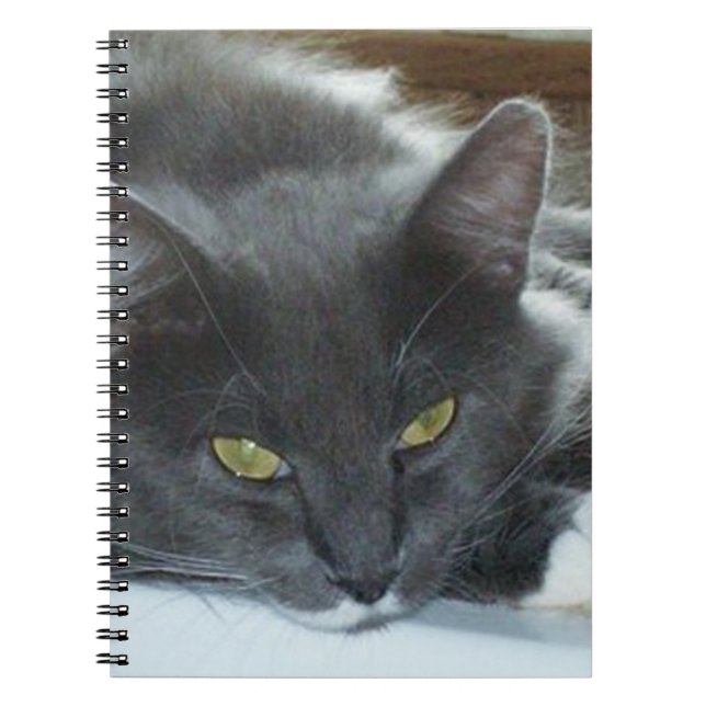 Cuaderno de Meow Cats 8 (Frente)