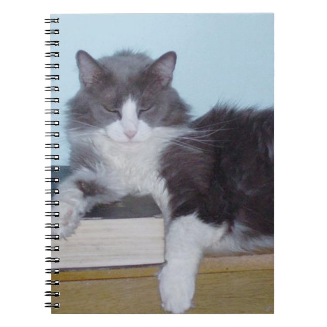Cuaderno de Meow Cats 9 (Frente)