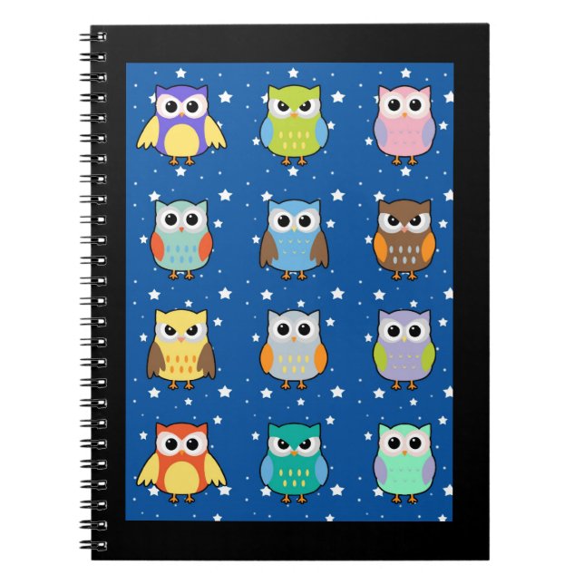 Cuaderno de muchas lechuzas (Frente)