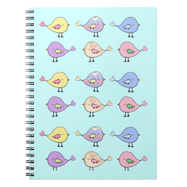 Cuaderno de muchos pajaritos (Frente)