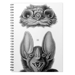 Cuaderno de Murciélagos Vintage para Vampiros