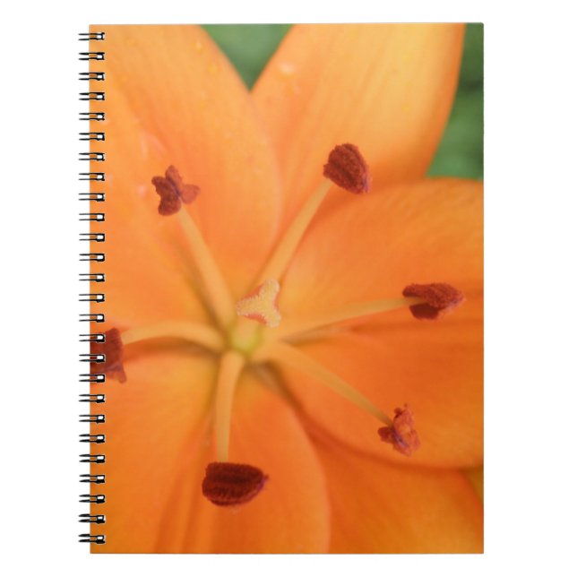 Cuaderno de naranja Lily Floral (Frente)