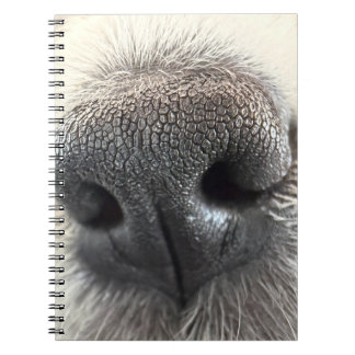 Cuaderno de Nariz de Cachorro Irresistible