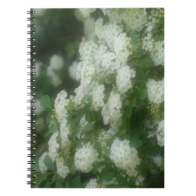 Cuaderno de Naturaleza de Flor de Rosas Blancas Sa (Frente)