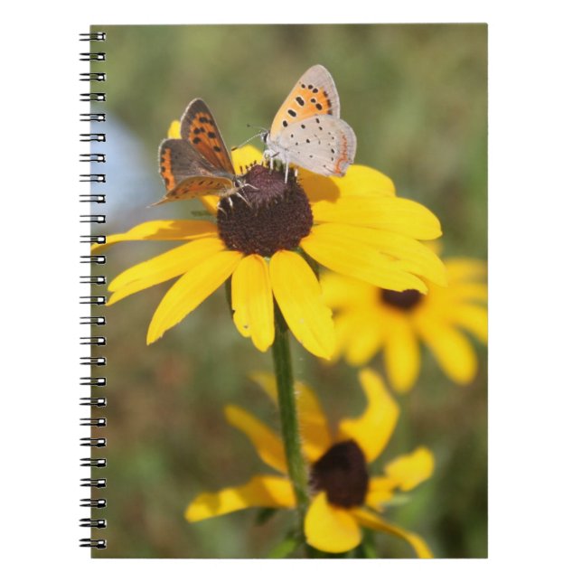 Cuaderno de notas espirales de amigos de mariposa (Frente)