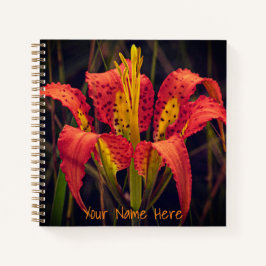 Cuaderno de notas espirales de Personalizado de Pi