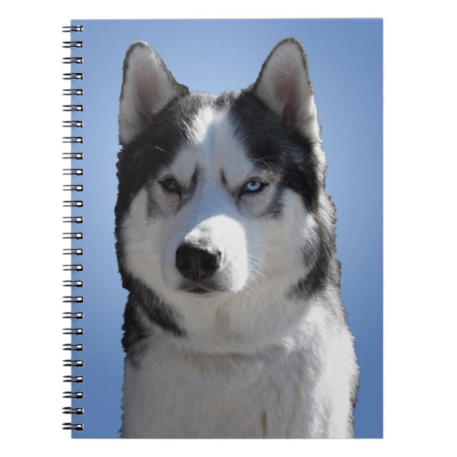 Cuaderno de ojos Husky Regalos y Libros Siberianos (Frente)