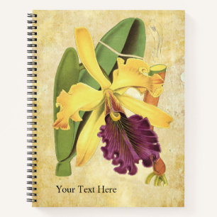 Cuaderno de orquídeas de reina