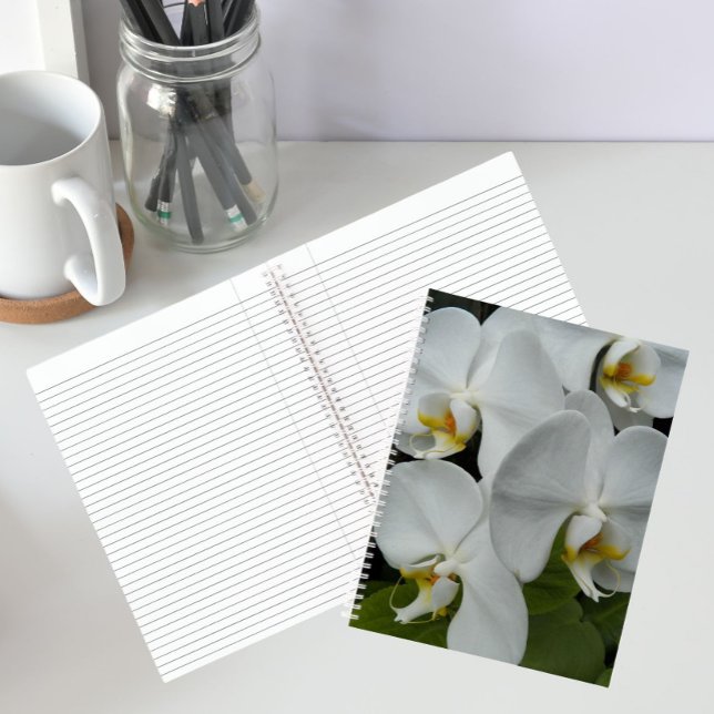 Cuaderno de orquídeas Phalaenopsis blancas florale (In Situ)