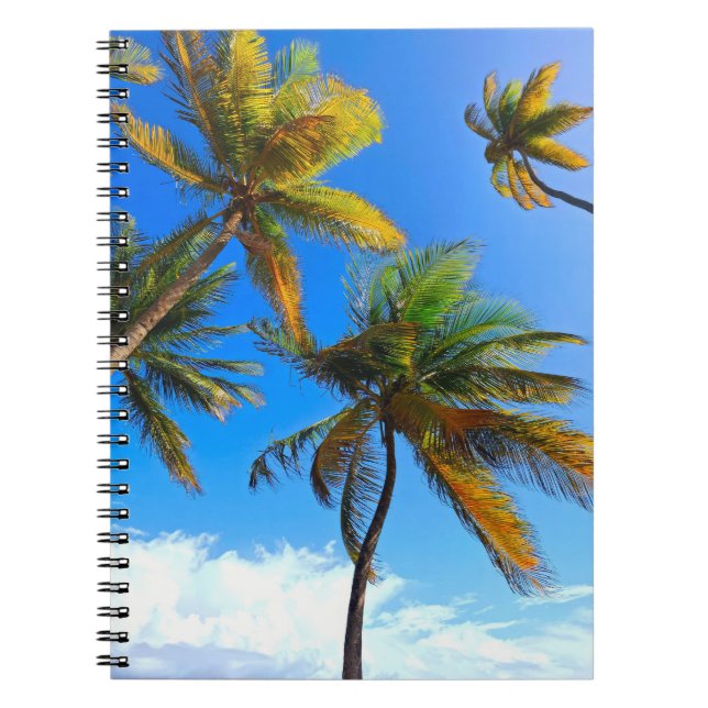Cuaderno de Palma Tropical - Diario de Vibes Carib (Frente)