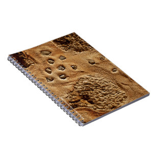 Cuaderno de pared español