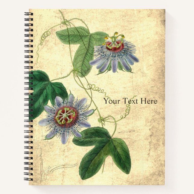 Cuaderno de Passiflora Amethystina (Anverso)