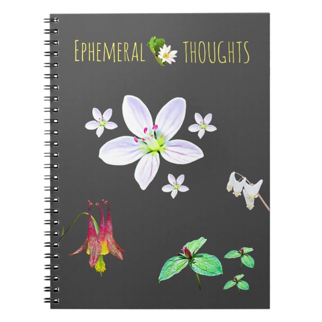 Cuaderno de pensamiento efímero en blanco (Frente)