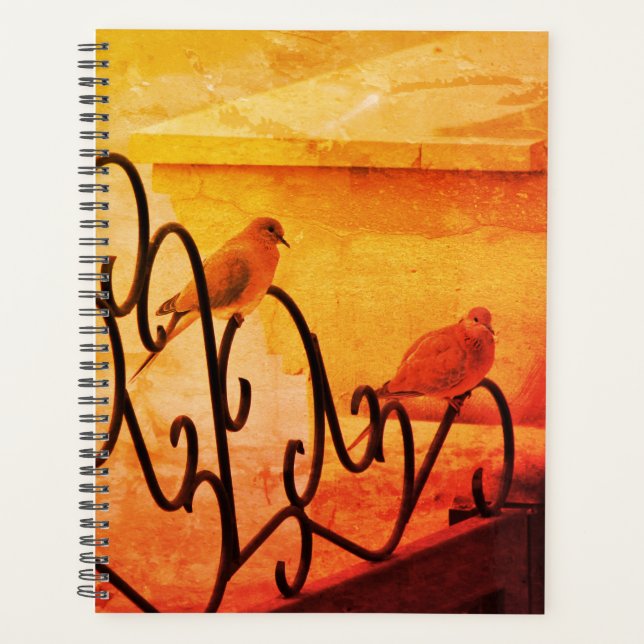 Cuaderno de pequeñas palomas (Anverso)