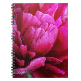 Cuaderno de Pétalos de Flor de Peonía Después de l