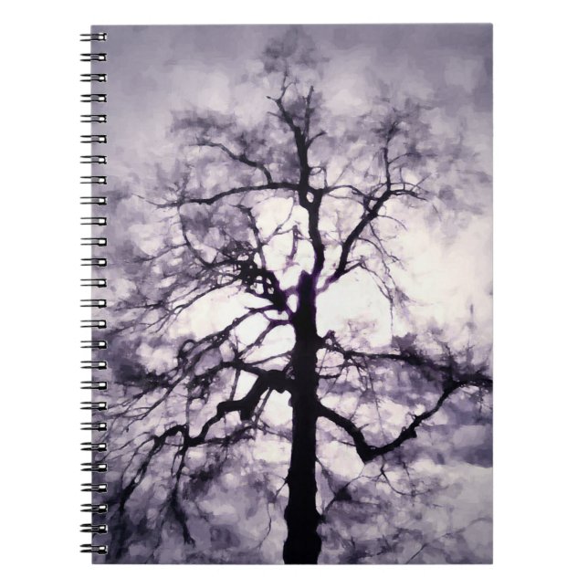 Cuaderno de Phantastes (Frente)