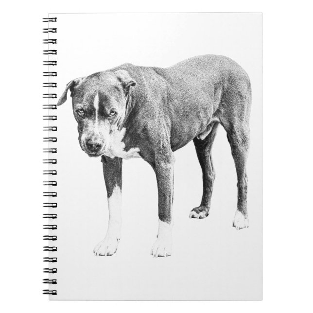Cuaderno de planes de invierno con toros de foso (Frente)