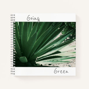 Cuaderno de planta suculenta de aloe verde
