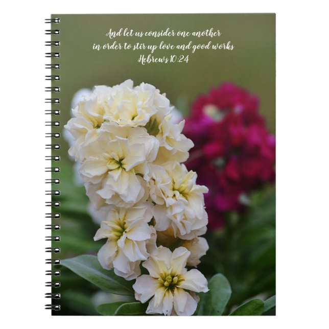 Cuaderno de plegarias de la Biblia contra la Bibli (Frente)