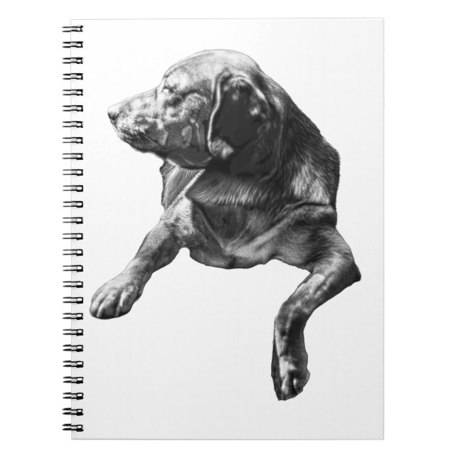 Cuaderno de Pocket-Plan, Labrador (Frente)