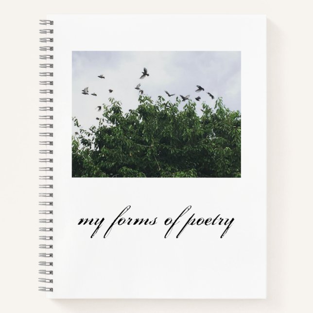 cuaderno de poesía (Anverso)