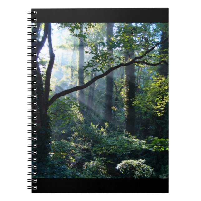 Cuaderno de Primera Luz (Frente)